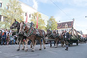 50. Leonhardifahrt 2015 in Fürstenfeldbruck (©Foto: Martin Schmitz)
